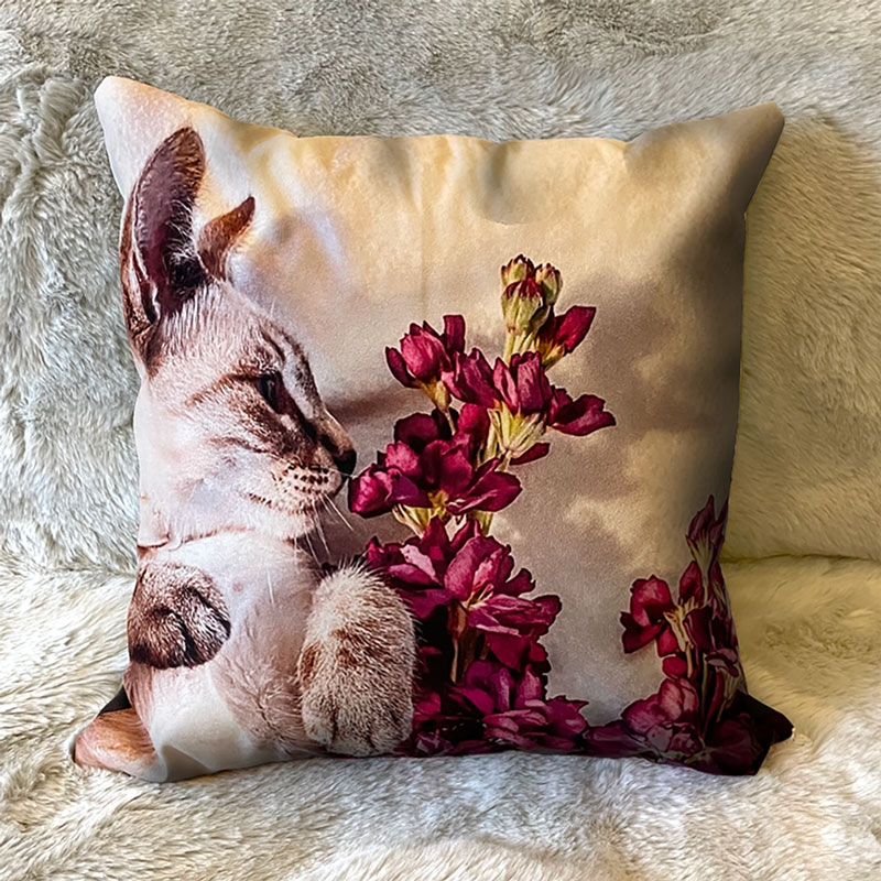 Personalised shop cat cushion