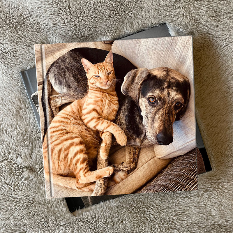 Pet Photo Album 